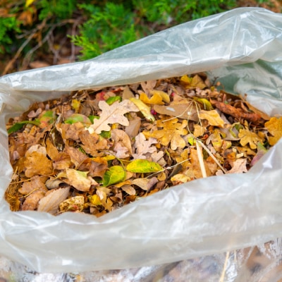 YARD WASTE DISPOSAL